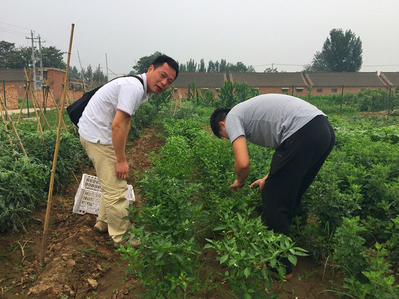 好利來(lái)郭總喊您來(lái)摘菜啦！綠色無(wú)公害，放心！